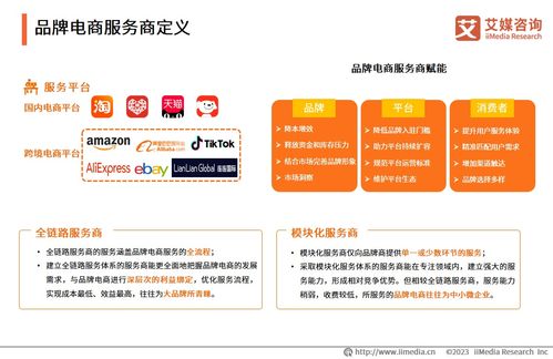 2023年中国品牌电商服务商行业研究报告——社会经济咨询服务解析